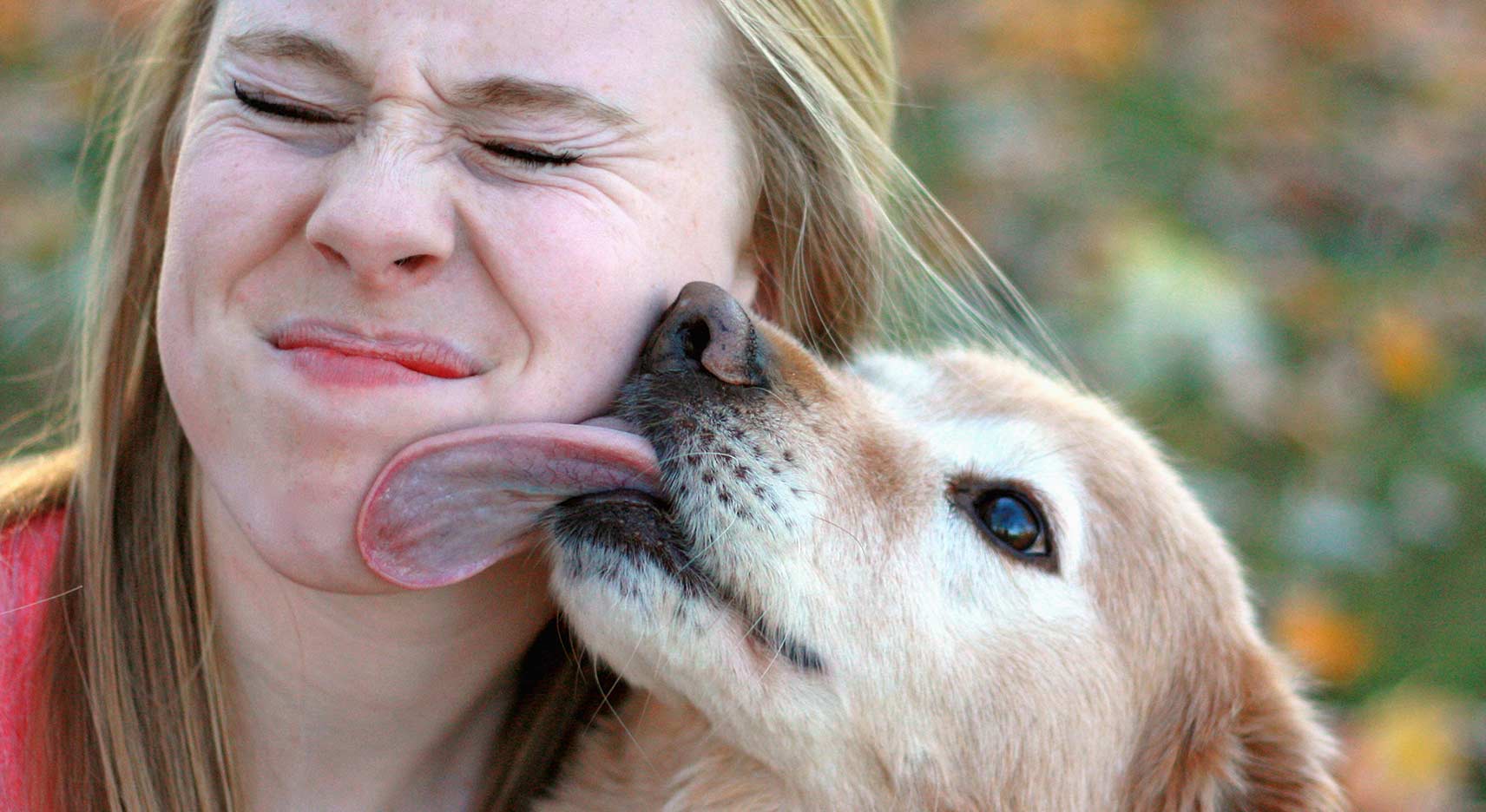 Why does my dog lick me?