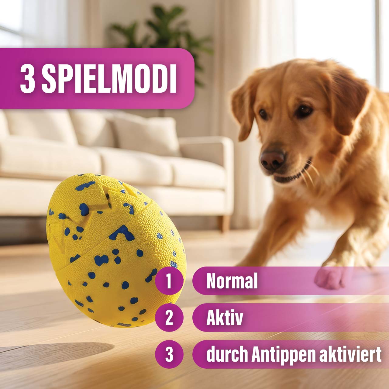 Hund spielt mit dem hüpfenden Zeus Nitro Dragon Egg
