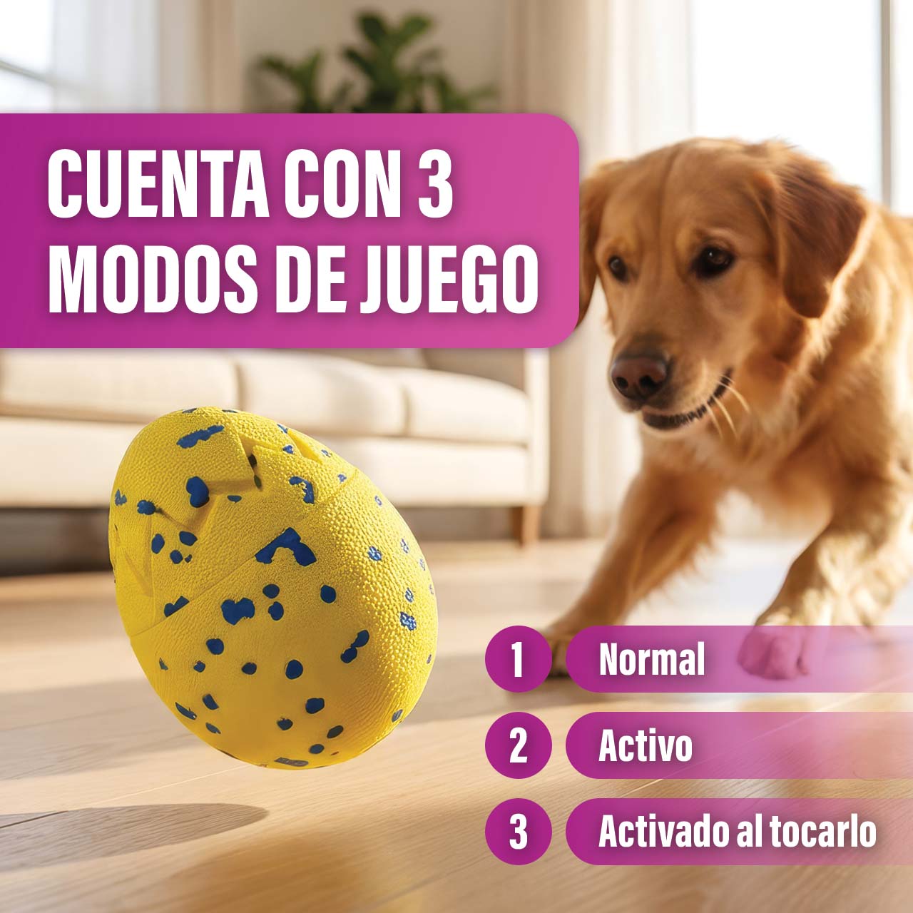 Un perro jugando con un Huevo de Dragón Zeus Nitro que rebota