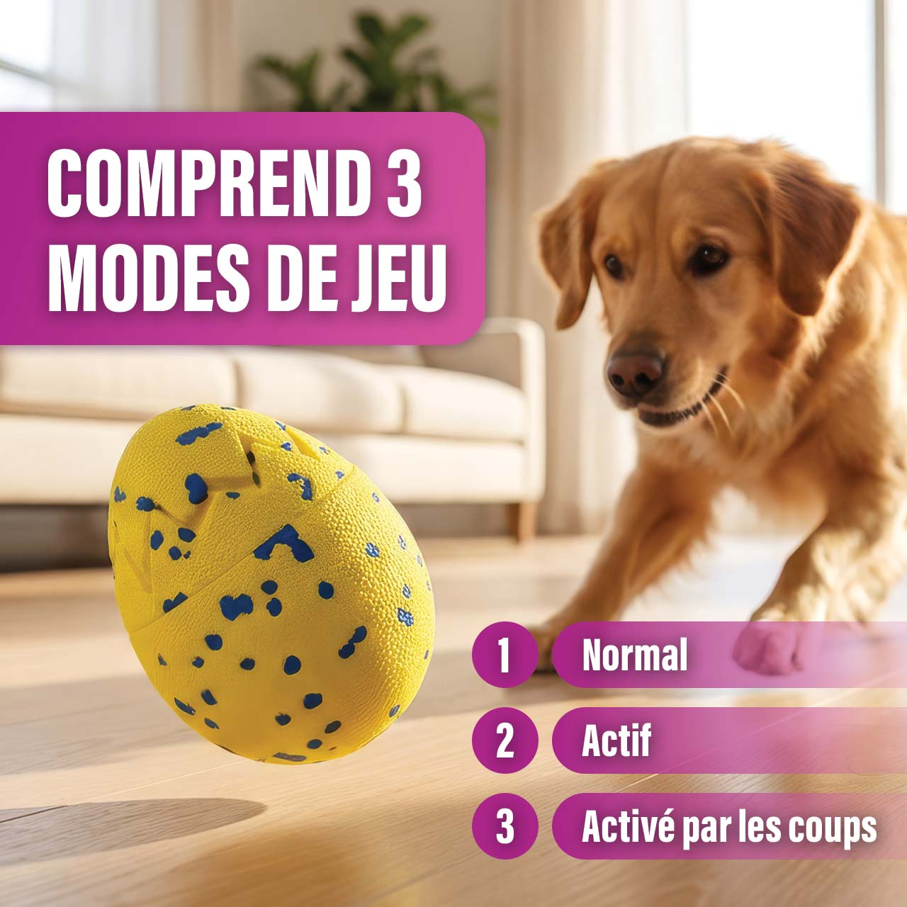 Chien jouant avec un œuf de dragon Zeus Nitro qui rebondit