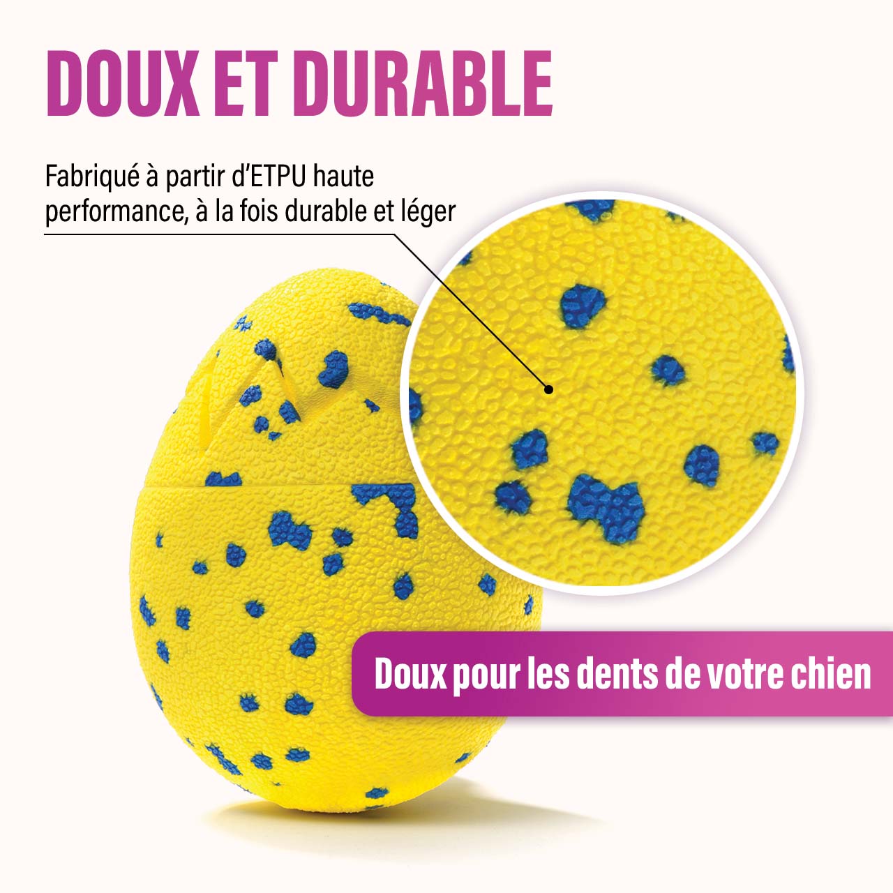 L’œuf de dragon Zeus Nitro est doux et durable