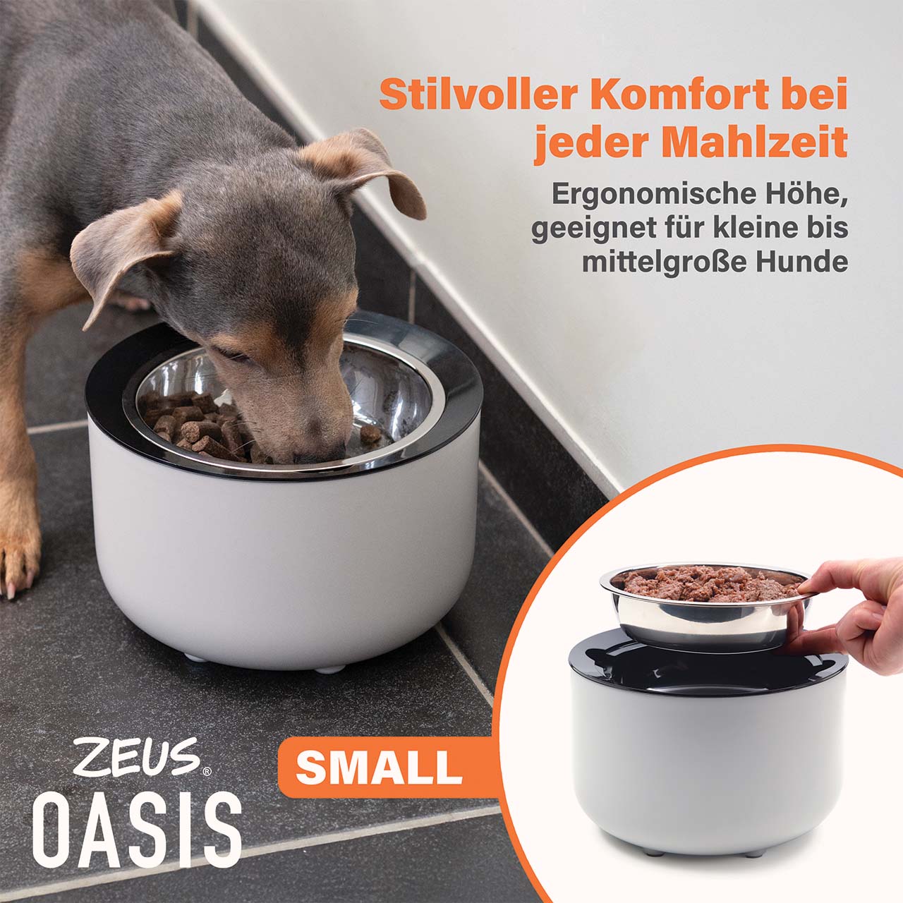 Stilvoller Futterkomfort für kleine Hunde