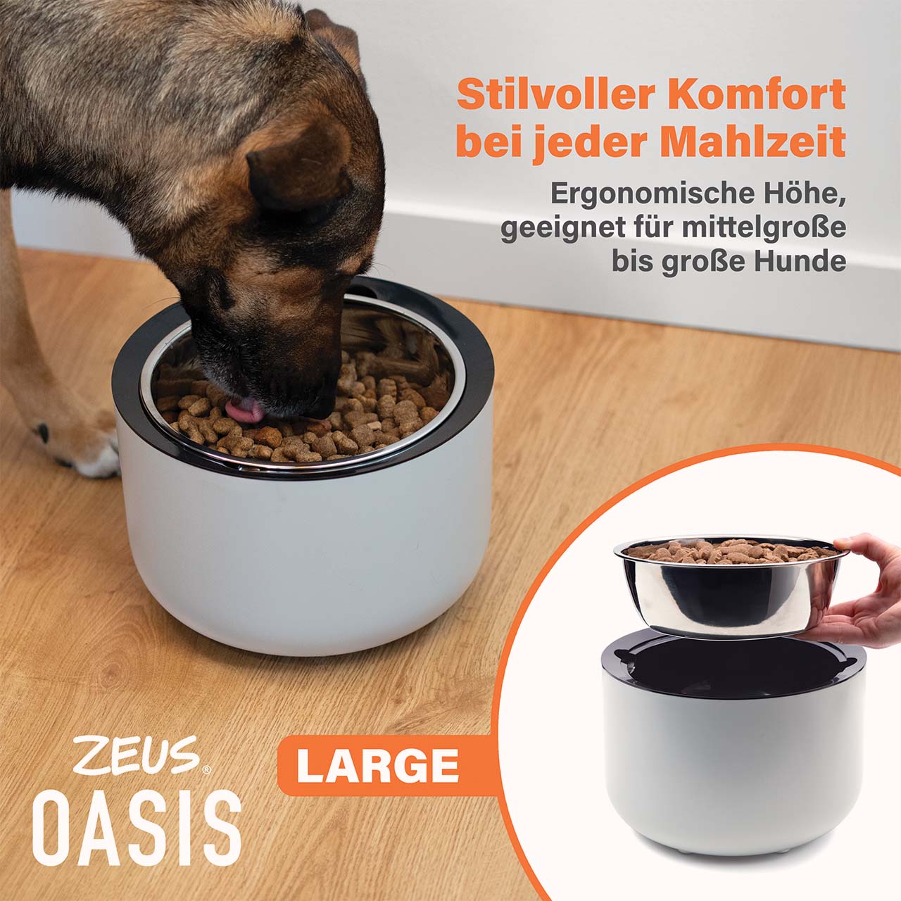 Stilvoller Futterkomfort für mittelgroße und große Hunde