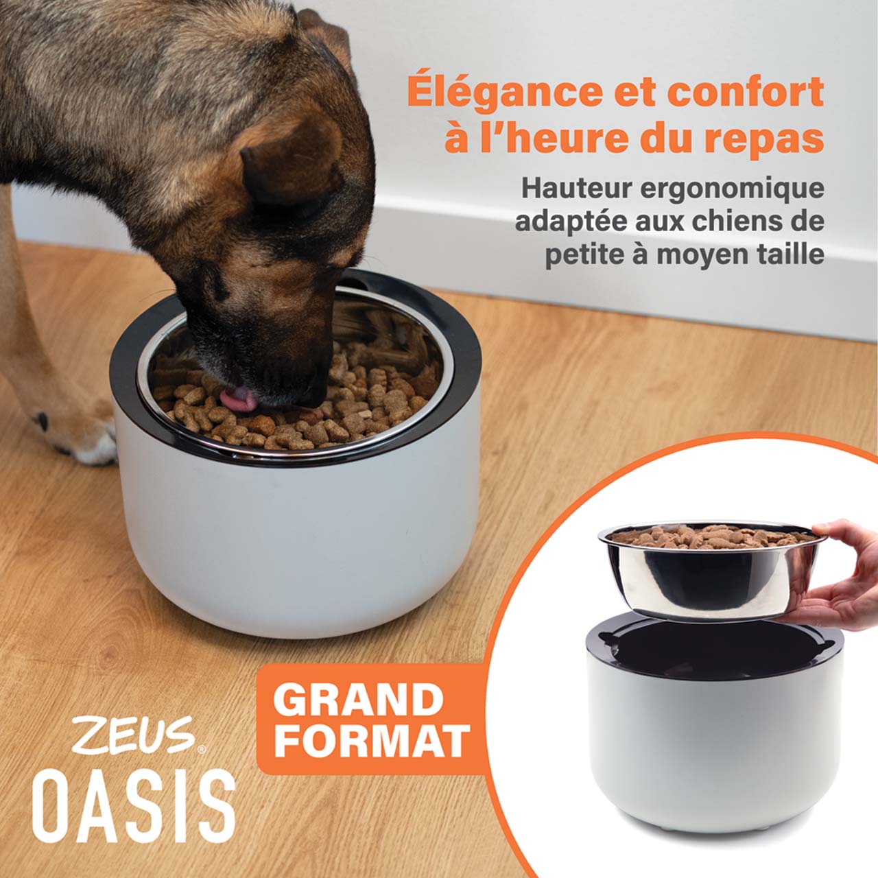 Confort et élégance à l’heure du repas pour les chiens de moyenne à grande taille