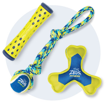 Top view of different variations of Zeus Fitness Toys