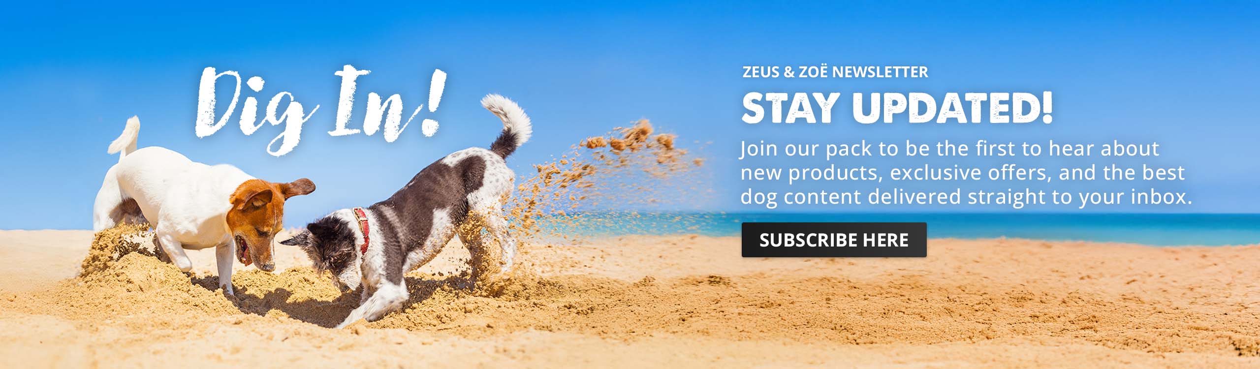 Dig In - Zeus & Zoë newsletter
Join our pack to be the first to hear about new products, exclusive offers, and the best dog content delivered straight to your inbox.
Subscribe here