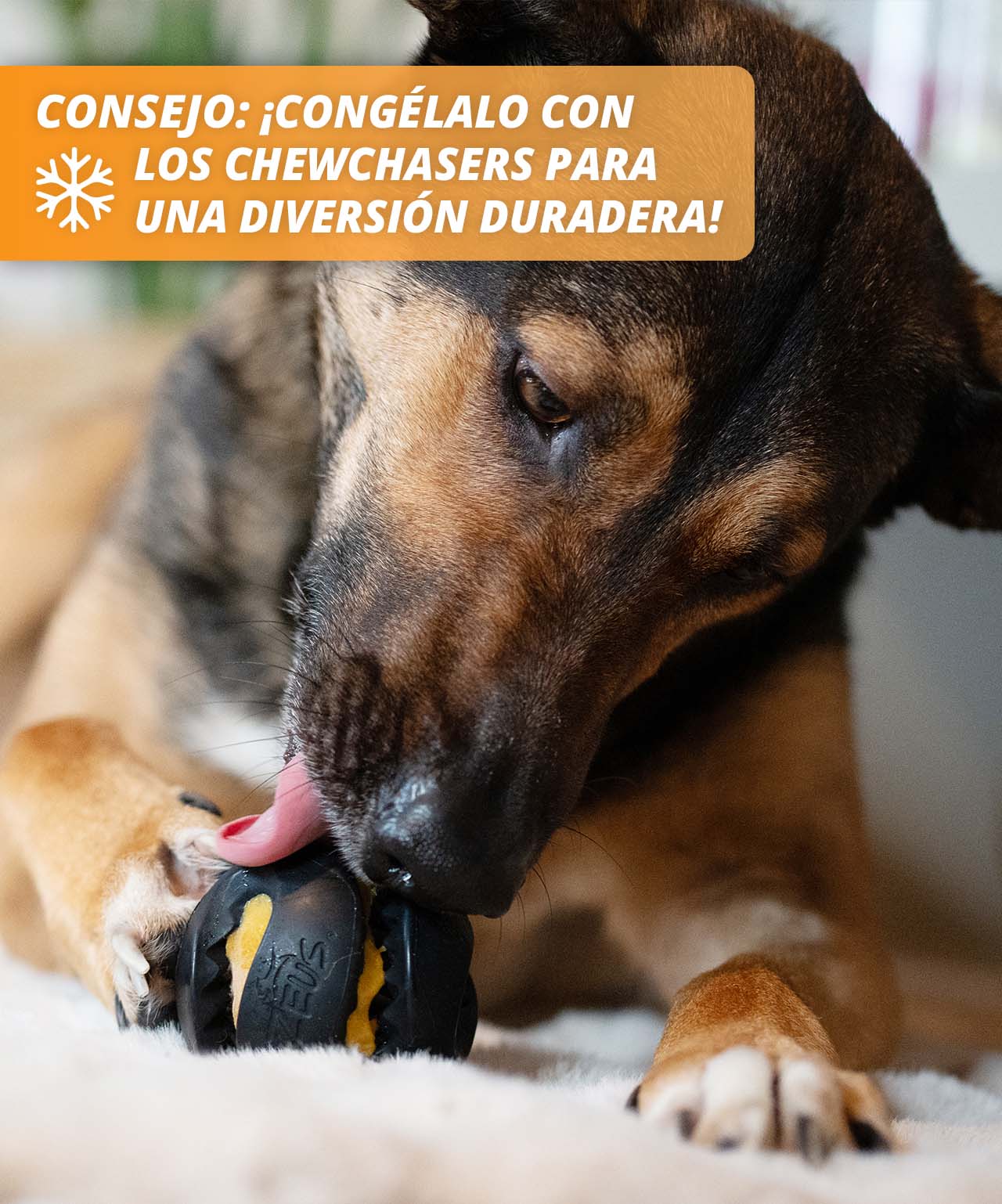 Consejo: ¡llénalo y congélalo para disfrutarlo durante más tiempo!
