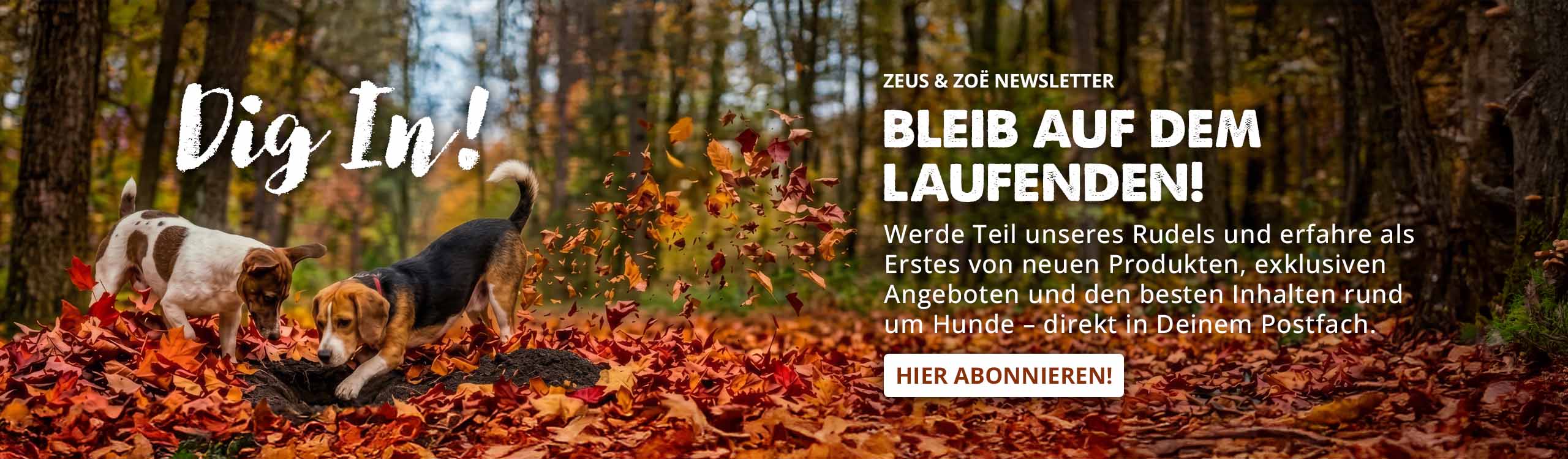 Bleiben Sie auf dem Laufenden!
Klicken Sie hier, um den Newsletter zu abonnieren.