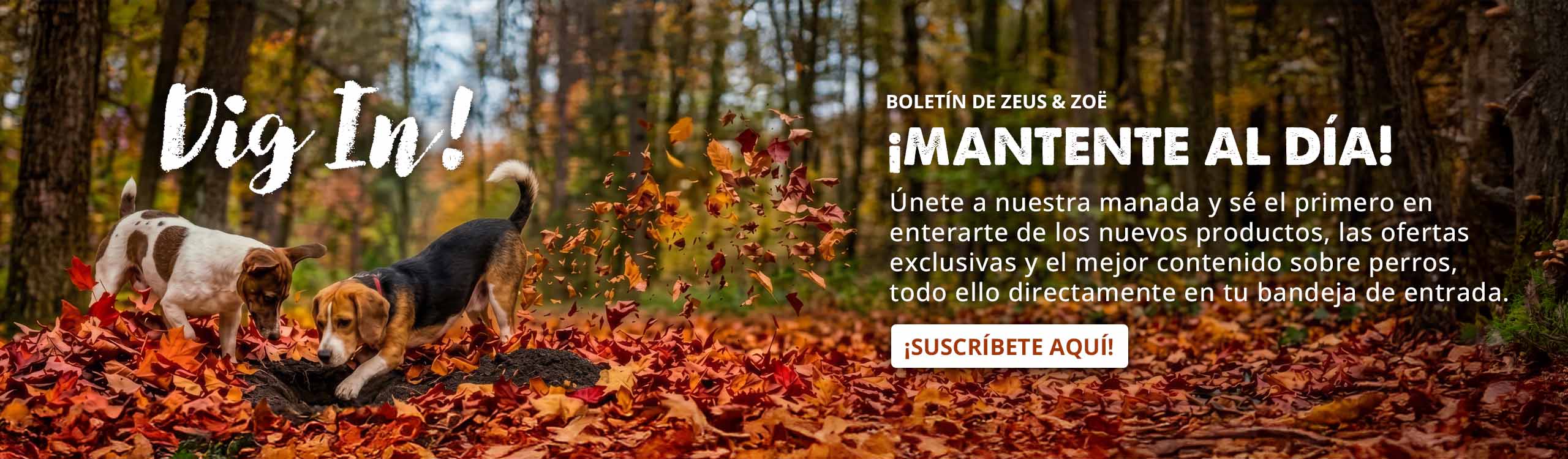 ¡Mantente al día!
Haz clic aquí para suscribirte al boletín.