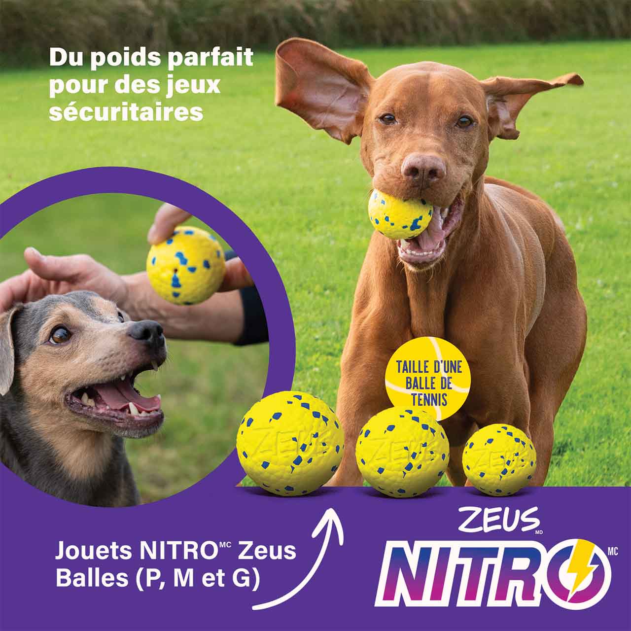 Poids idéal pour jouer en toute sécurité.