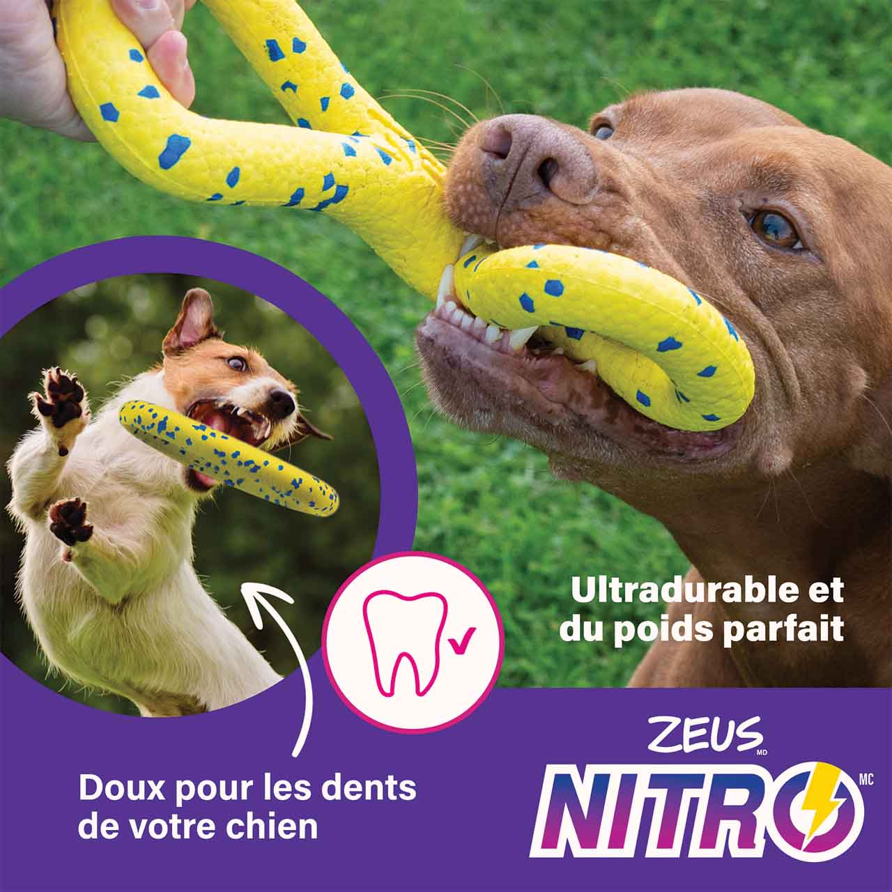 Les jouets Zeus NITRO sont ultra résistants et offrent un poids idéal.