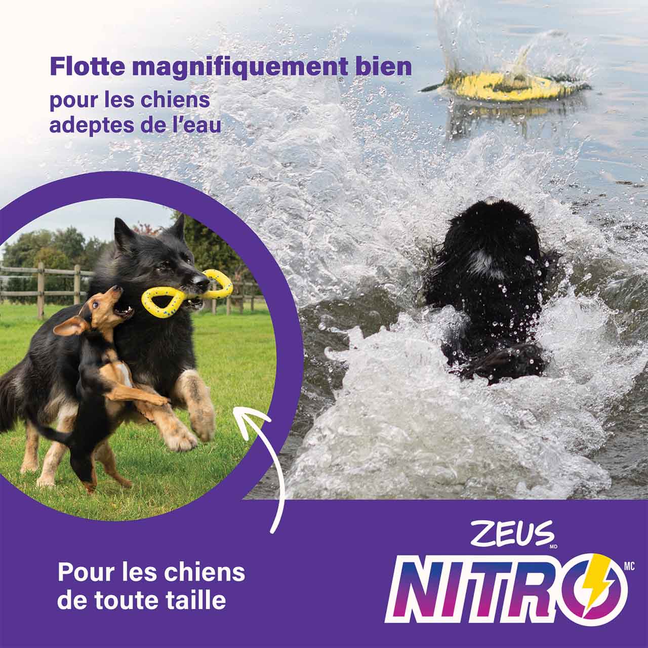 Les jouets Zeus NITRO flottent remarquablement bien pour les chiens qui adorent jouer dans l’eau.
