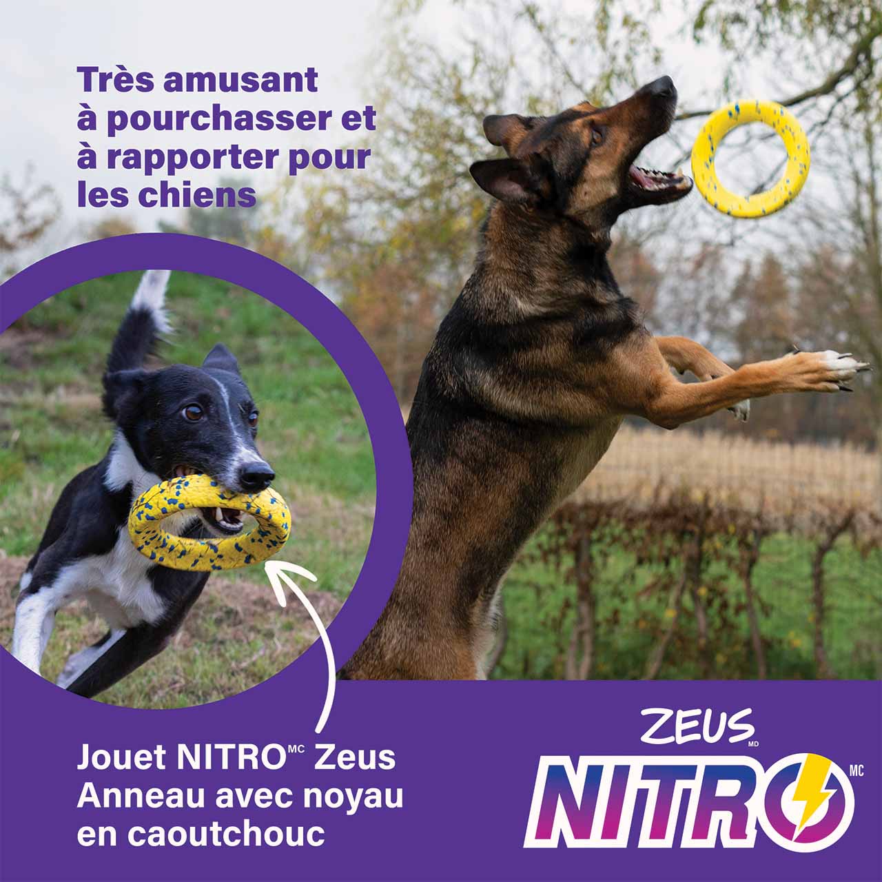 Un plaisir garanti pour les chiens qui adorent courir après les jouets et les rapporter.